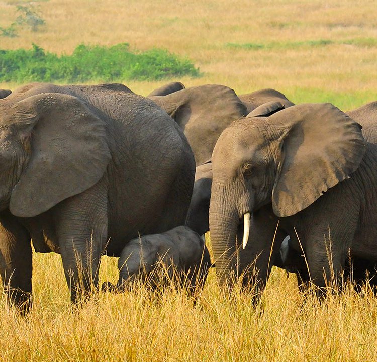 Kidepo National Park