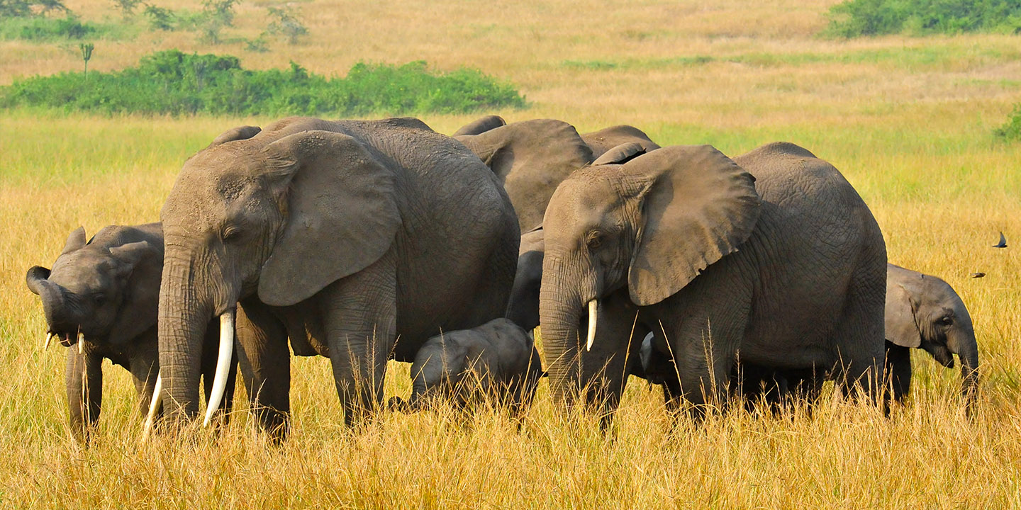 Kidepo National Park