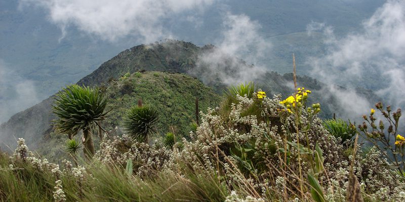 9 Days Rwenzori Mountain Climbing Safari