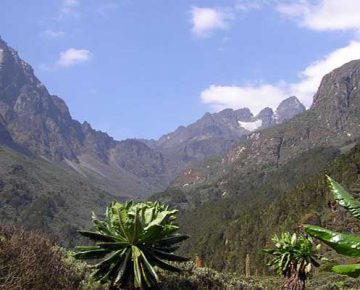 1 Day Rwenzori Hiking Safari