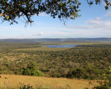2 Days Lake Mburo Wildlife Safari