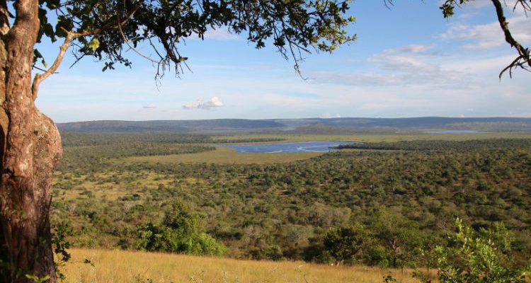 2 Days Lake Mburo Wildlife Safari