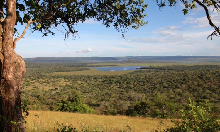 2 Days Lake Mburo Wildlife Safari