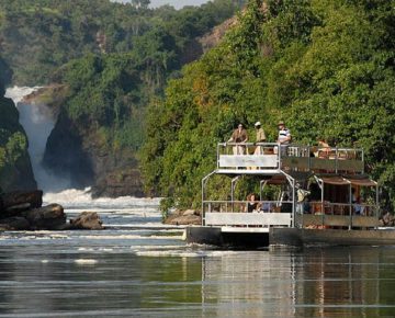 Game drives in Murchison falls national park