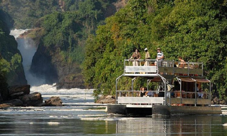 Game drives in Murchison falls national park