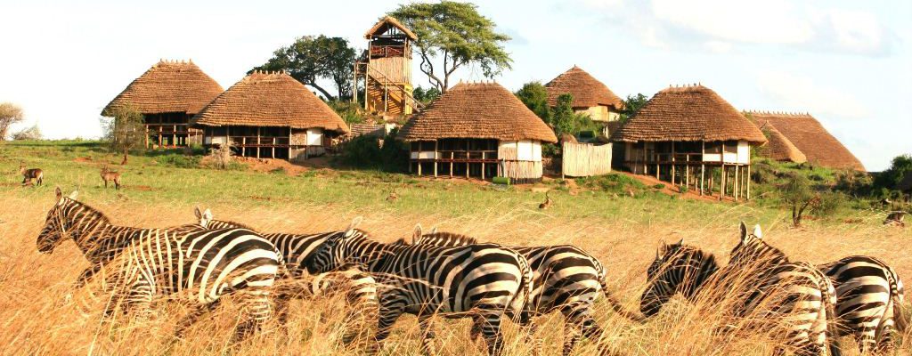3 Days Kidepo Flying Wildlife Safari