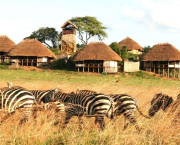 3 Days Kidepo Flying Wildlife Safari