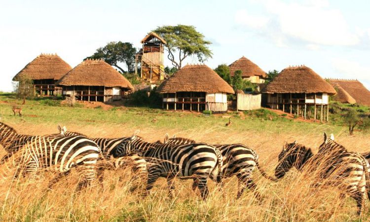 3 Days Kidepo Flying Wildlife Safari