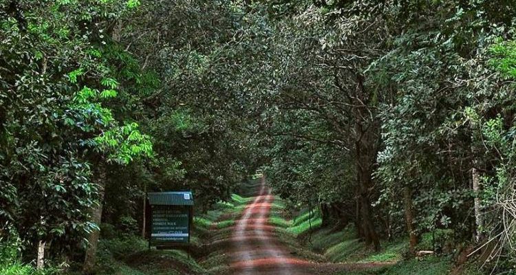 4 Days Murchison Falls Wildlife & Chimpanzee Safari