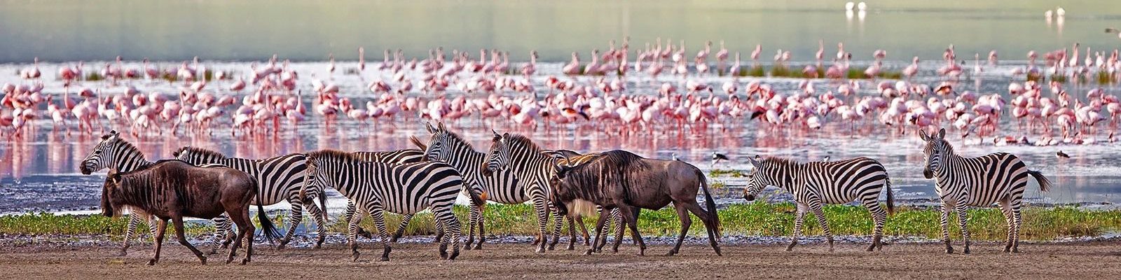 2 Days Lake Manyara & Ngorongoro Crater Safari
