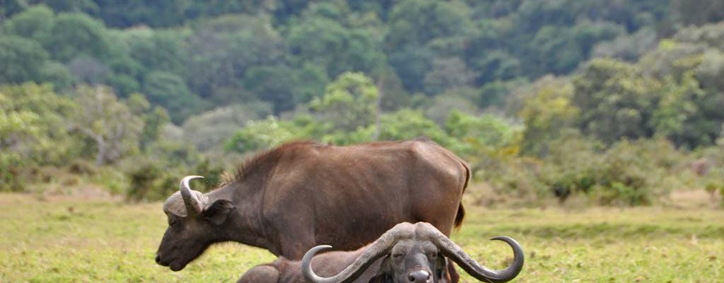 Kidepo National Park