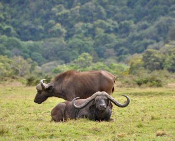 Kidepo National Park