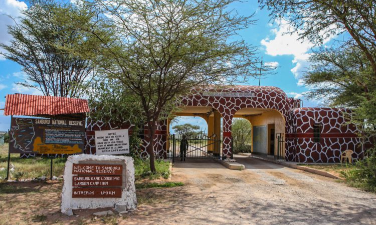 3 Days Samburu Wildlife Safari