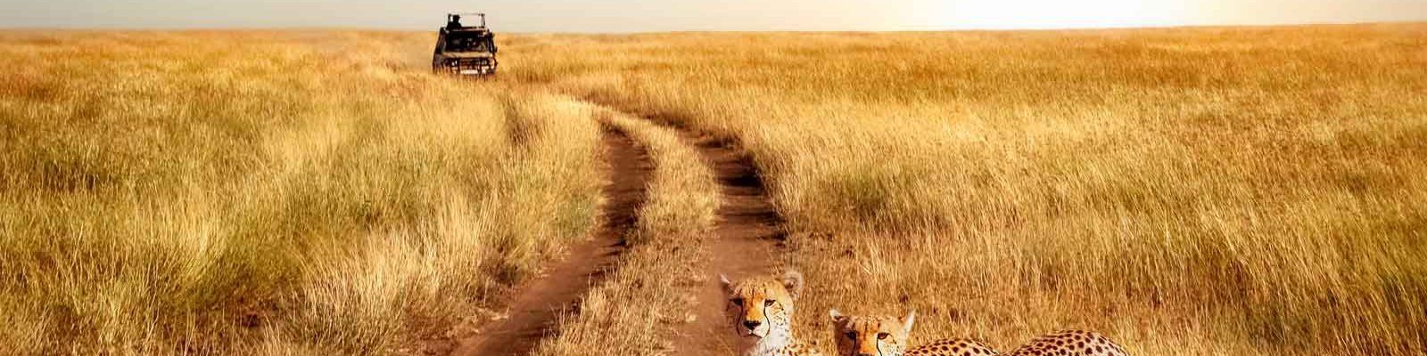 3 Days Serengeti Flying Safari
