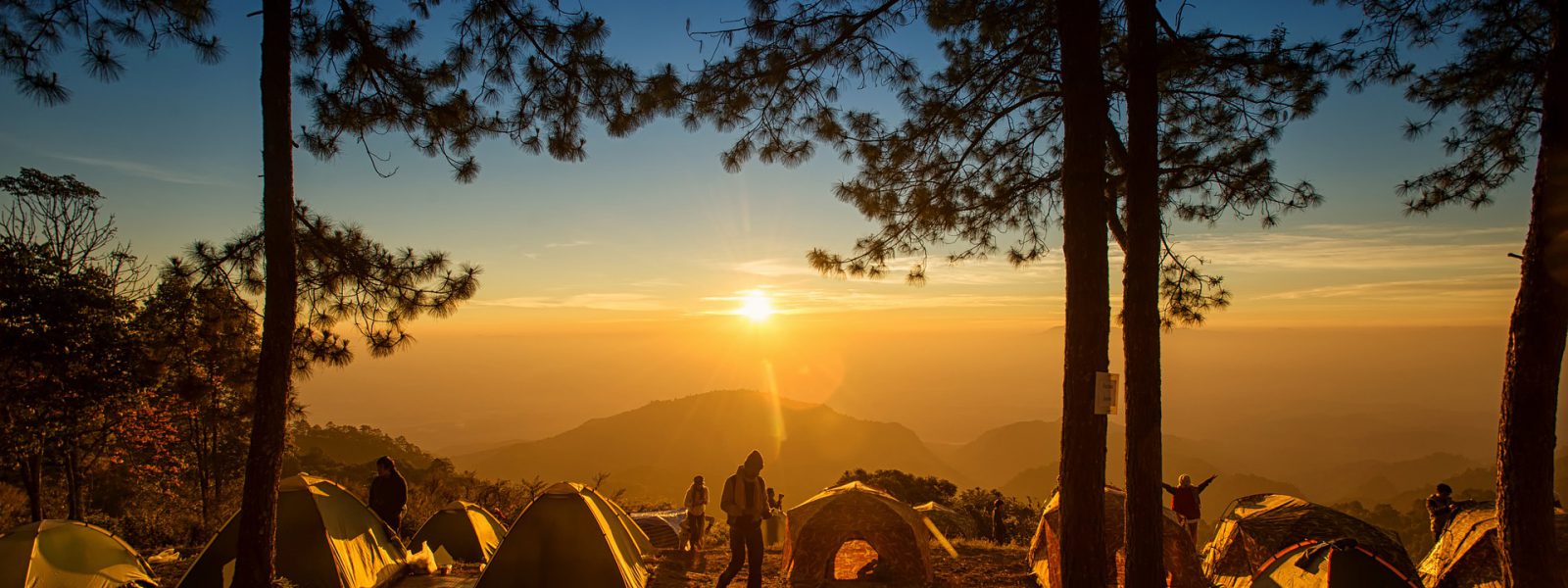 Uganda Group Safaris