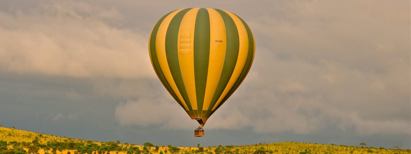 Balloon Safaris