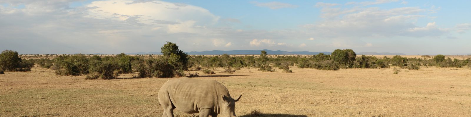 18 Days East African Adventure Vacation