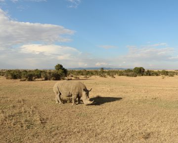 18 Days East African Adventure Vacation