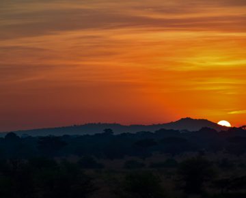 21 Days Grand East Africa Safari
