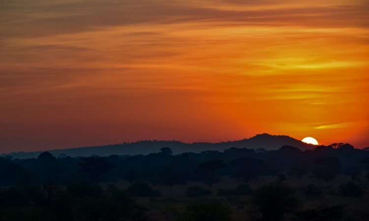 21 Days Grand East Africa Safari