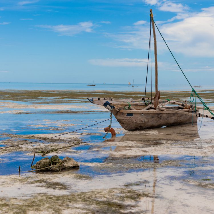4 Days Impressive Zanzibar Tour