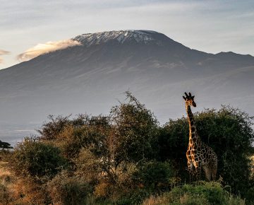 5 Days Mt Kilimanjaro Hiking Expedition