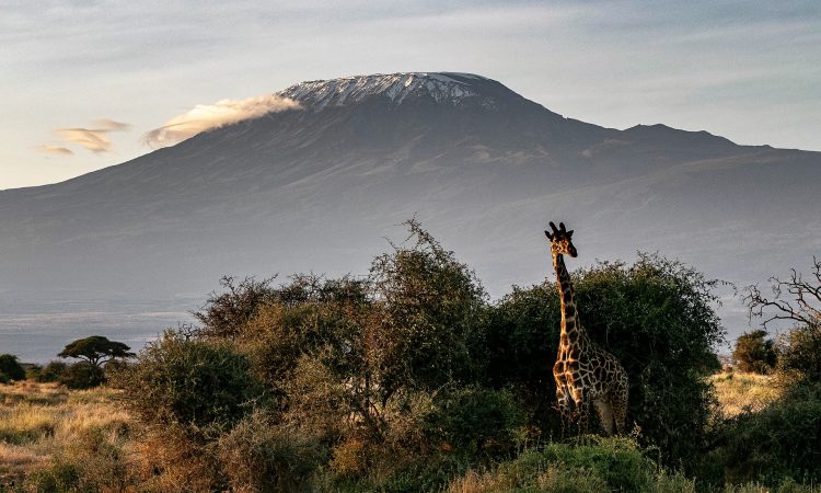 5 Days Mt Kilimanjaro Hiking Expedition