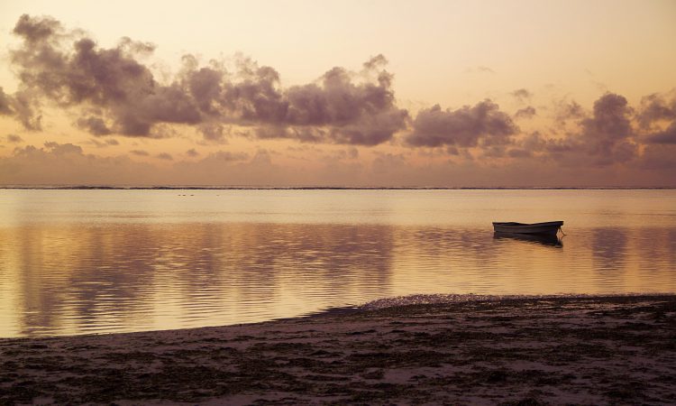7 Days Zanzibar Leisure Safari