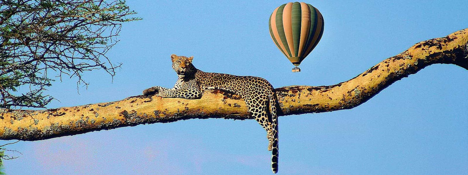 Balloon Safaris in Tanzania