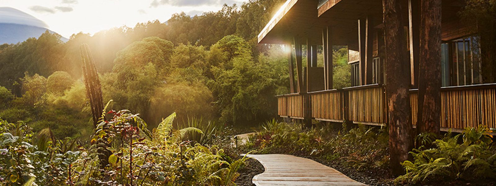Luxury Safaris in Rwanda