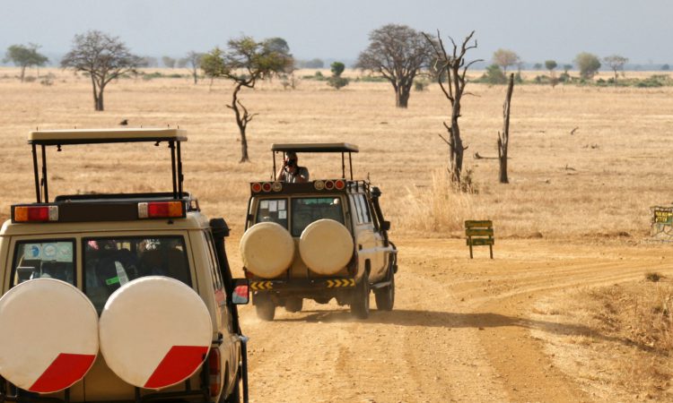 About GorillaLand safaris