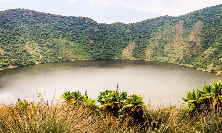 Mount Bisoke Rwanda