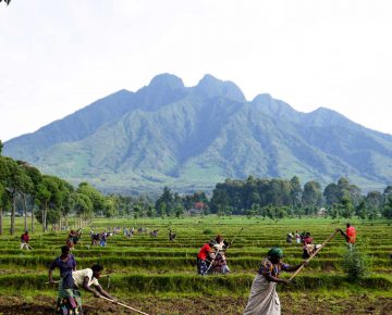 Mount Sabyinyo