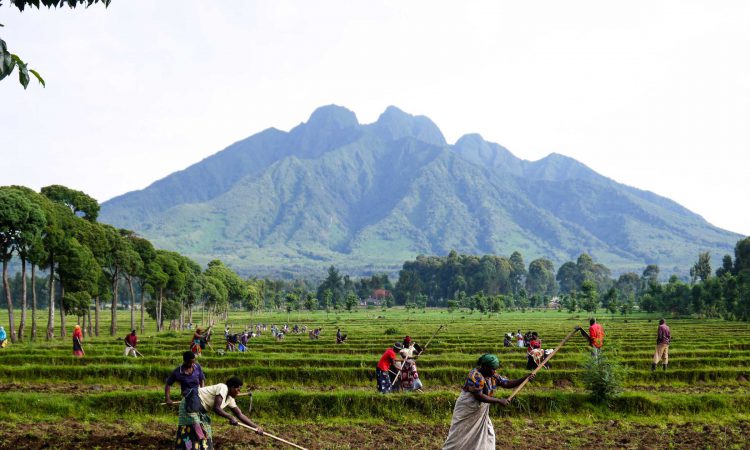 Mount Sabyinyo