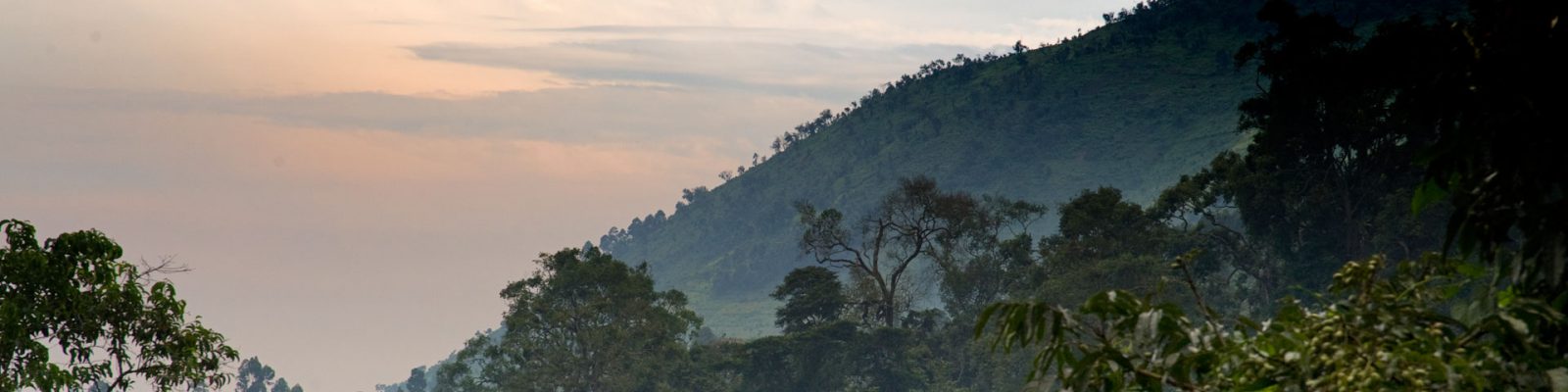 Sectors of Bwindi Impenetrable National Park