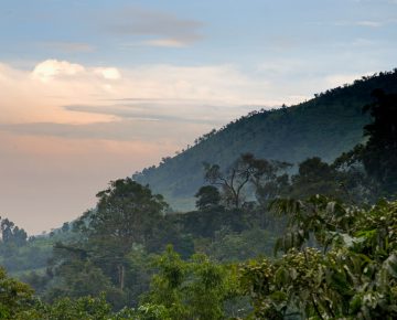 Sectors of Bwindi Impenetrable National Park