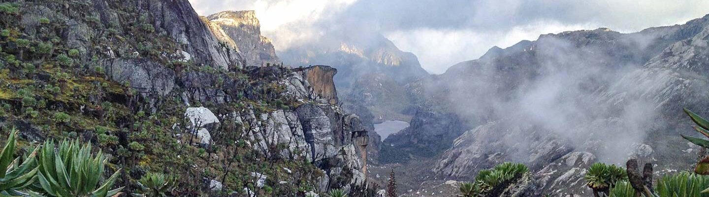 Rwenzori Mountains National Park