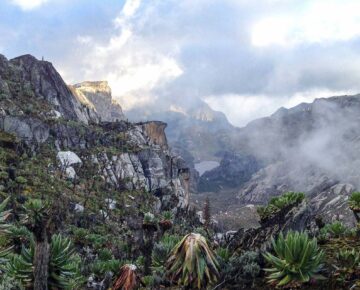 Rwenzori Mountains National Park