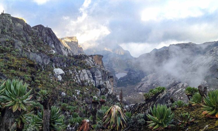 Rwenzori Mountains National Park