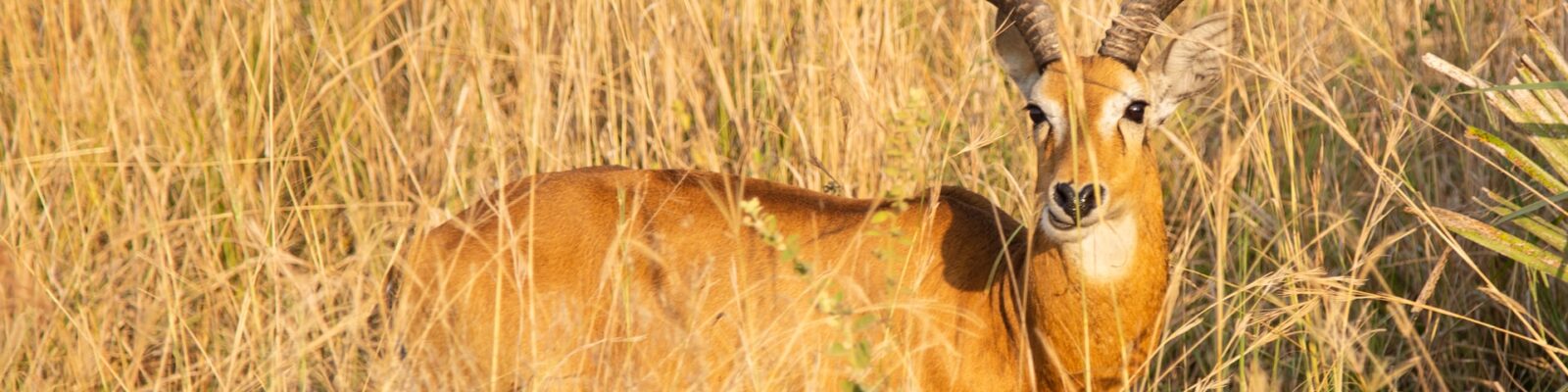 Semuliki Valley National Park UG