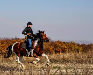Horse Riding in Lake Mburo National Park