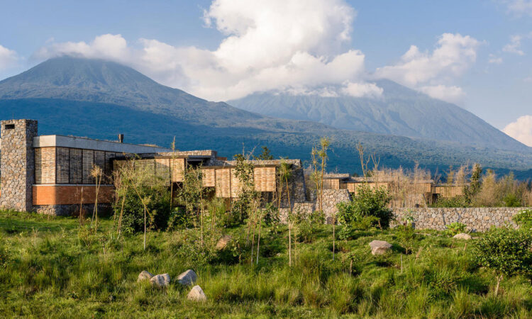 Volcanoes National Park Rwanda